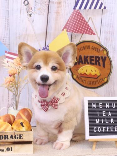 20240928ナナちゃん